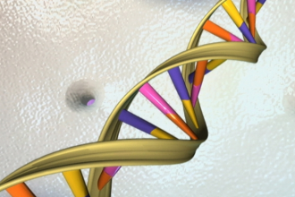 DNA打结怎办？一种生物机制能解