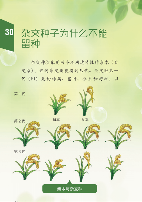 提升全民科学素质——城镇劳动者科学素质读本（五十四）