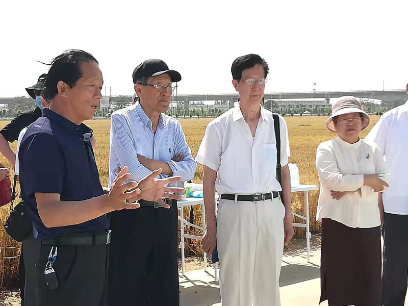 市老科协举办小麦蔬菜技术研讨会