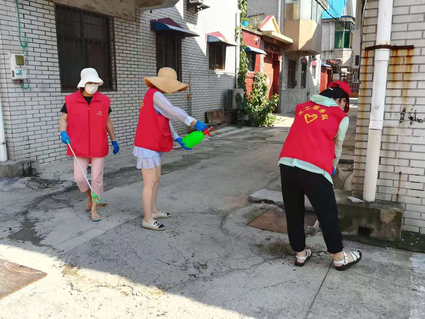 抗洪救灾——新乡市科协组织在行动