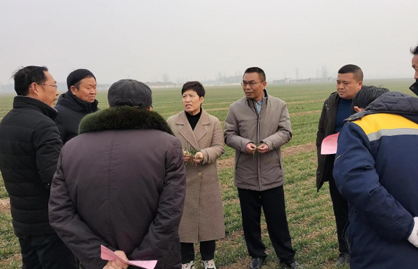 科技助力小麦春管：新乡县科协开展现场培训会