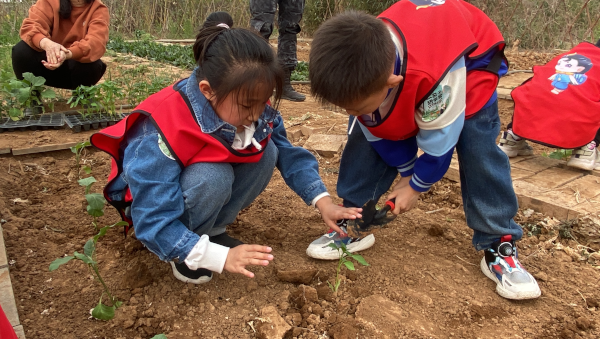 凤泉区科协联合中原诚信博物馆举办自然探索·花朵成长活动