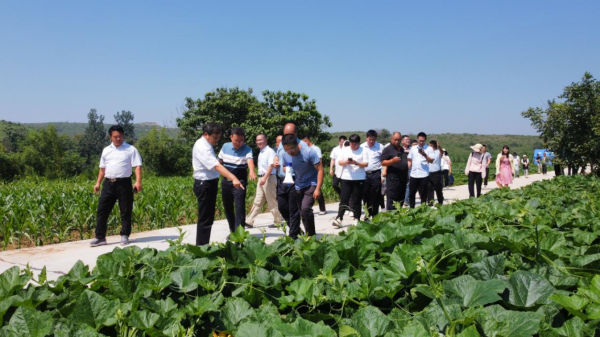 卫辉市太公镇召开专家助力特色种植产业发展座谈会