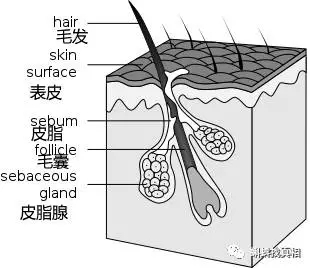 正月里剪头，能咋地？