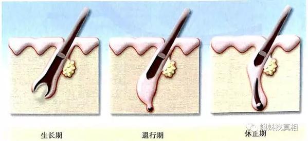 正月里剪头，能咋地？