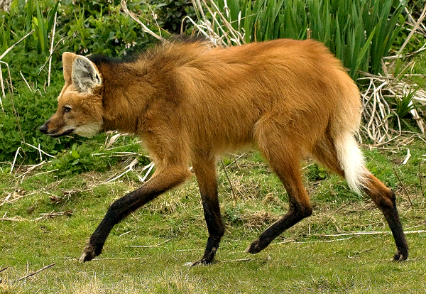 image001