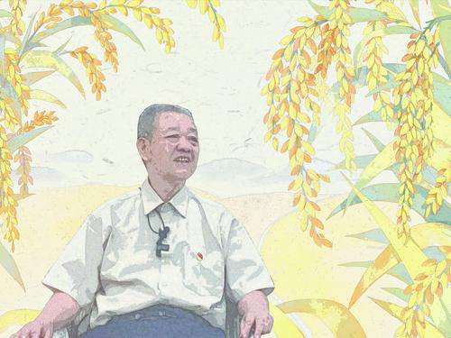 图片1