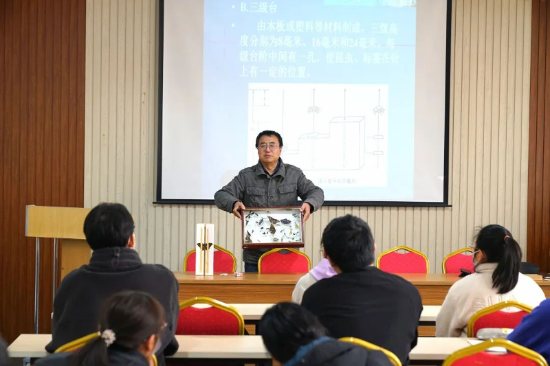 图片6