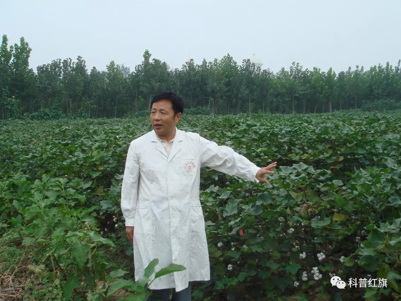 王清连2.jpg