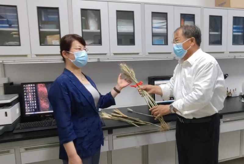 科技学院