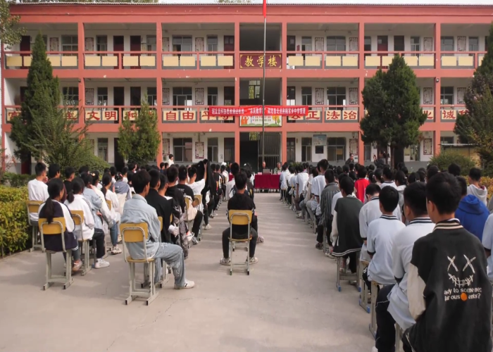 图片1