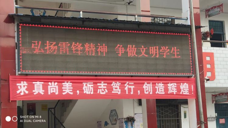 图片15