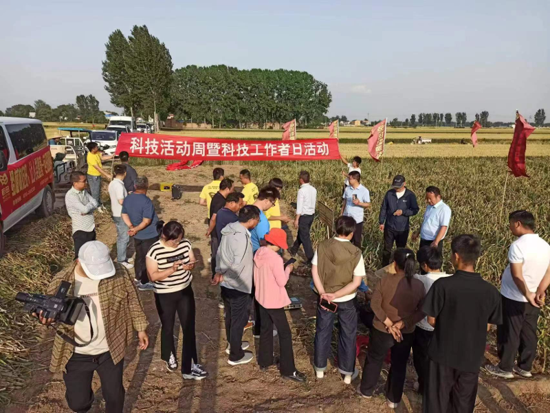 图片4