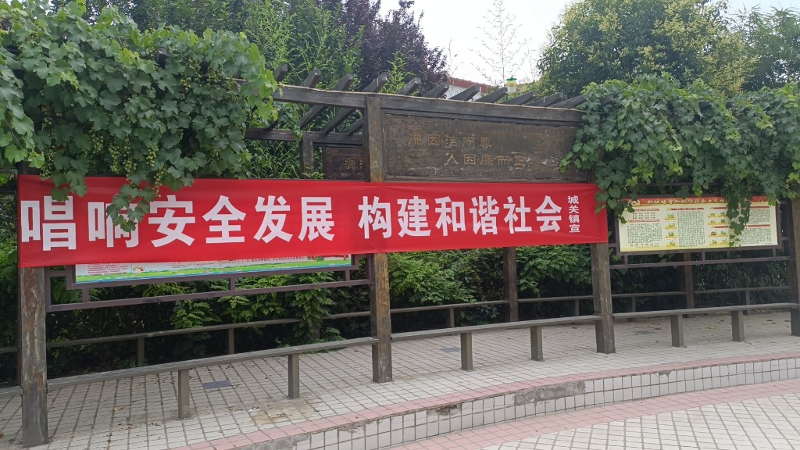 图片11