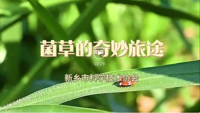截图-2023年8月28日 9时48分4秒