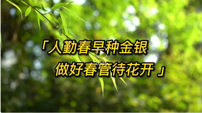 截图-2023年8月29日 15时31分4秒