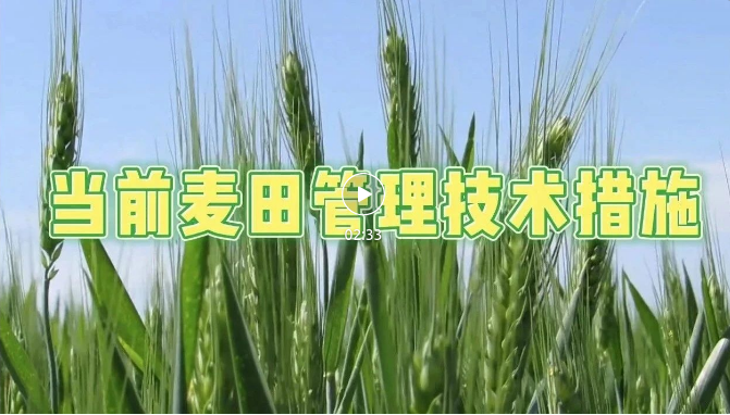 截图-2023年8月29日 15时34分17秒
