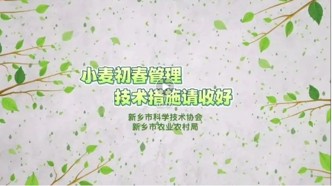 截图-2023年8月29日 15时36分2秒