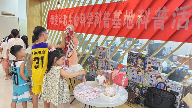 图片三