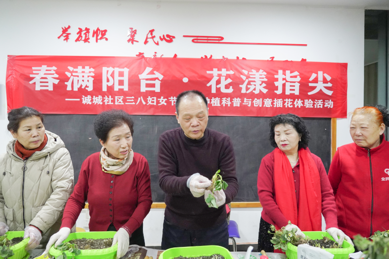 3.绿意蔬菜11.png
