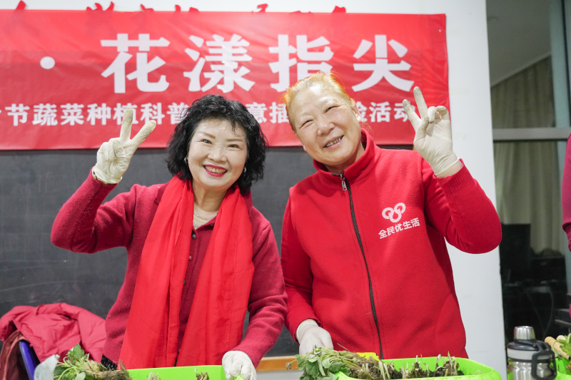 3.绿意蔬菜33.png
