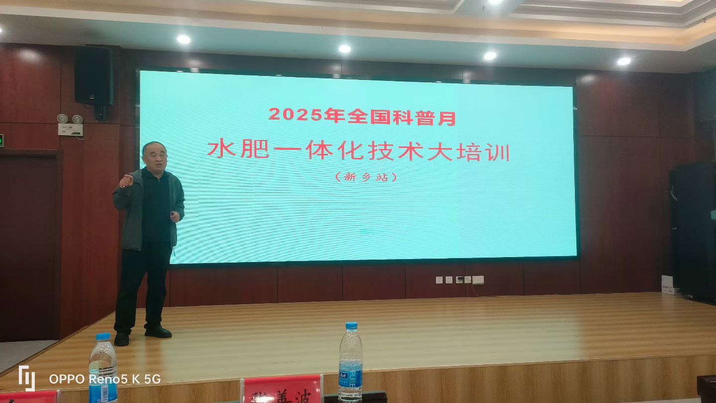 图片10