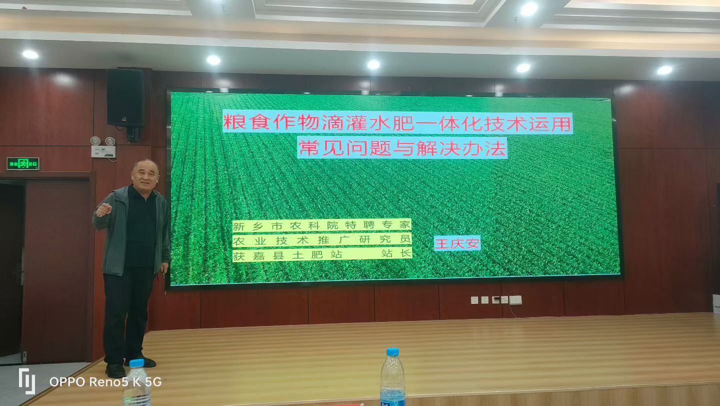 图片11